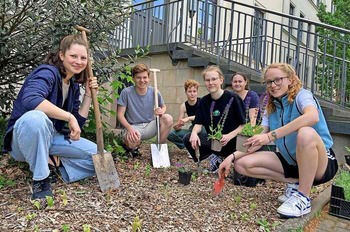 Gymnasiasten mit Herz für Insekten